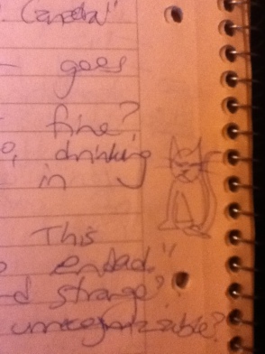 Sometimes I draw angry cats as I take scrupulous notes.