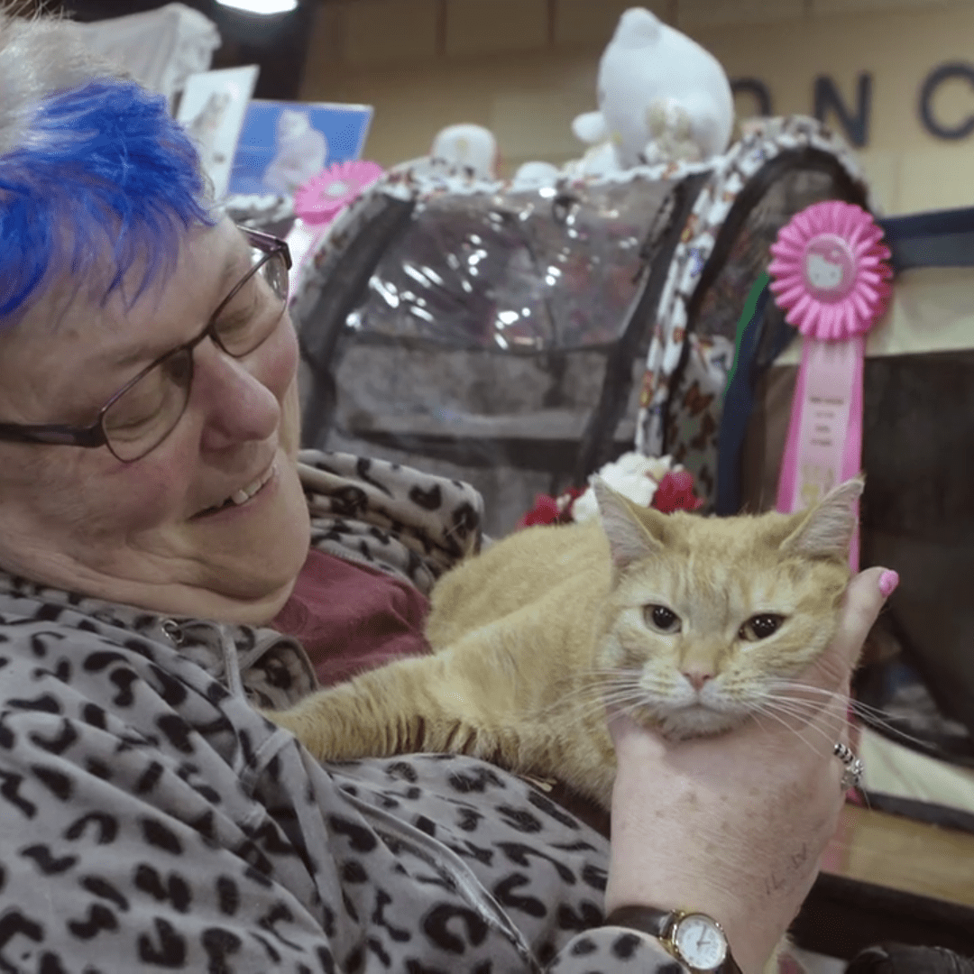 a woman with a blue streak of hair smiles at a rather unamused orange tabby cat she's holding